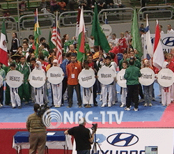 제4회세계품새선수권대회 개막식